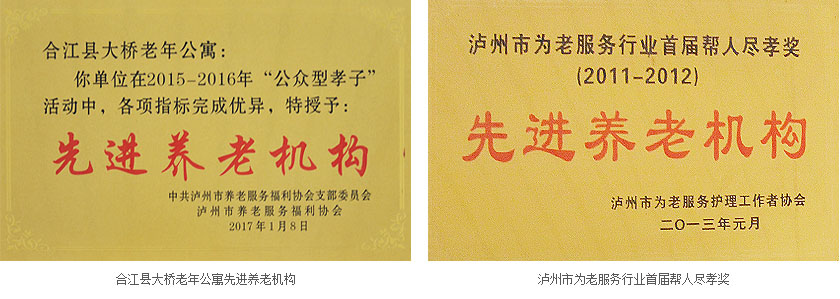 泸州养老资质荣誉