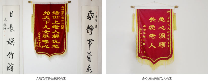 泸州养老资质荣誉