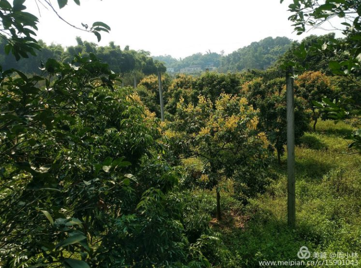 1569822873440156.png 泸州养老.png